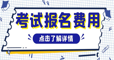 初级游泳教练证考试标准是什么